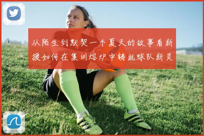 从陌生到默契一个夏天的故事看新援如何在集训熔炉中铸就球队新灵魂