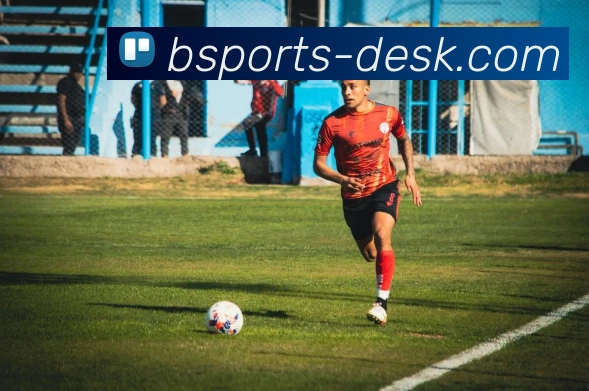 B体育平台生态图